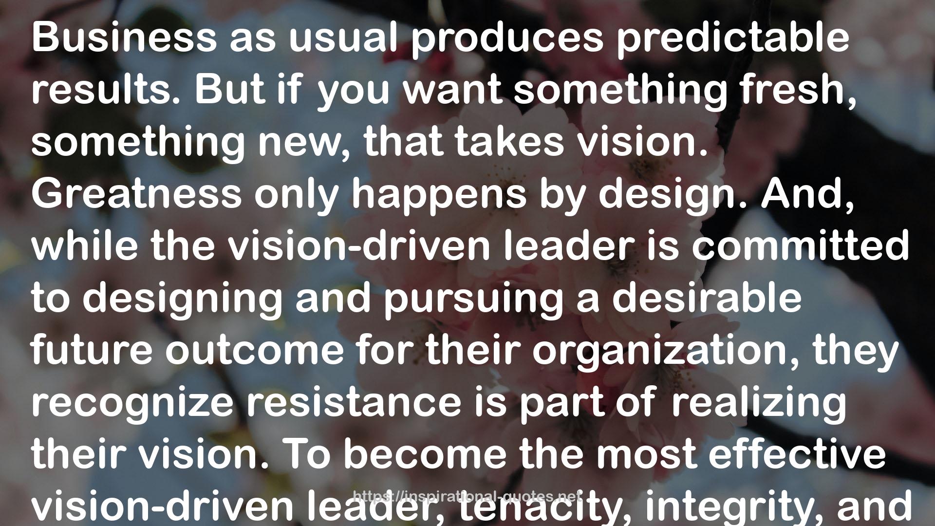 The Vision Driven Leader: 10 Questions to Focus Your Efforts, Energize Your Team, and Scale Your Business QUOTES