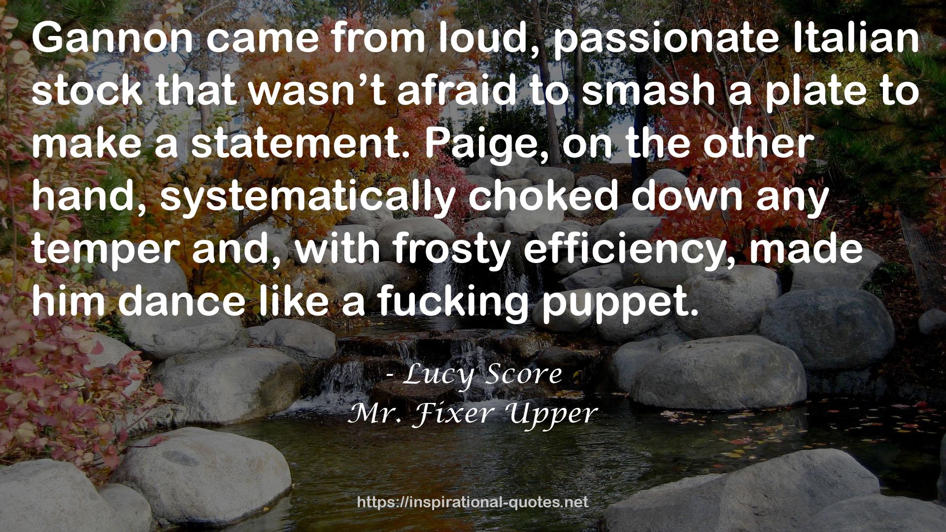 Mr. Fixer Upper QUOTES