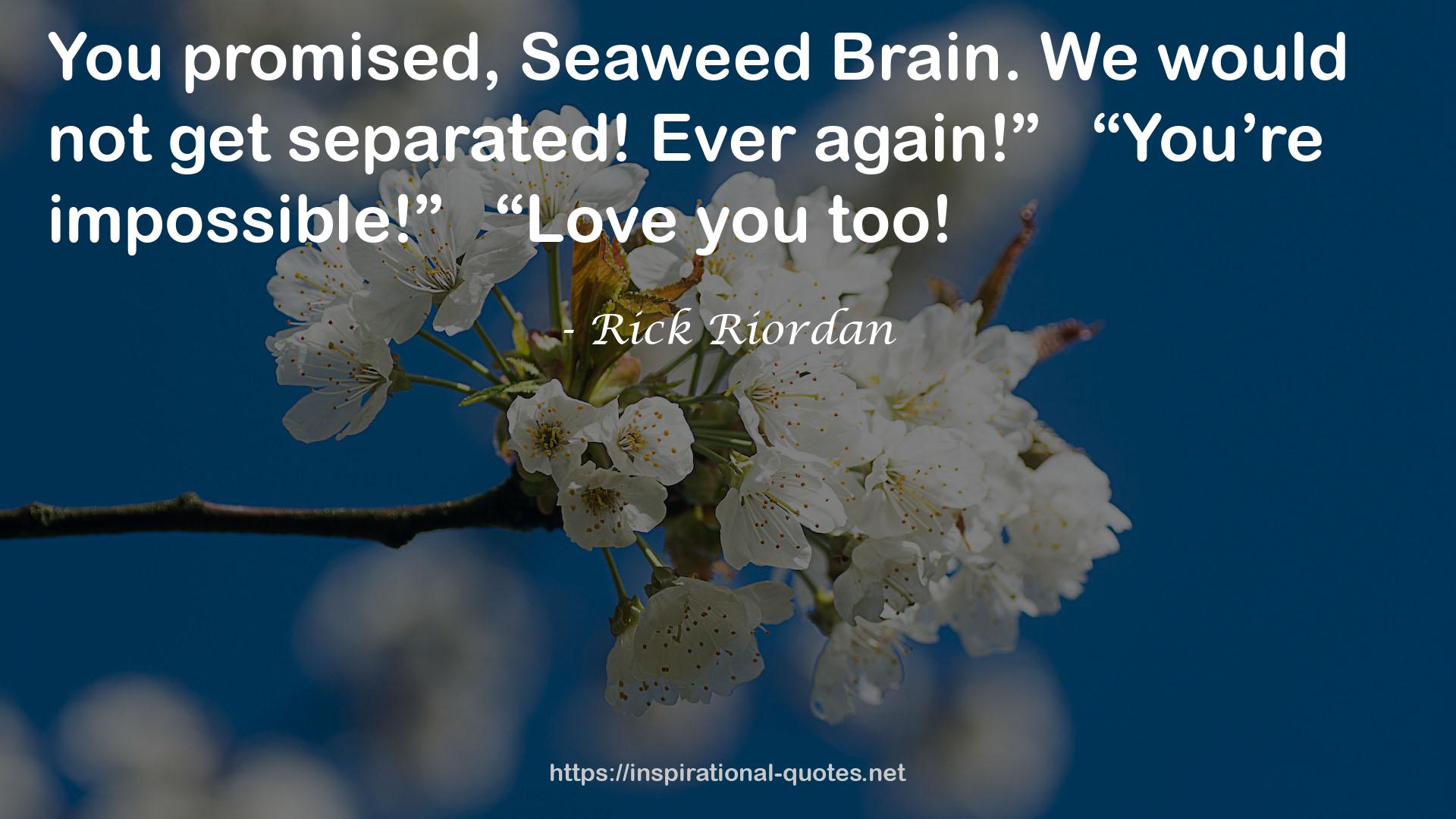 Seaweed  QUOTES