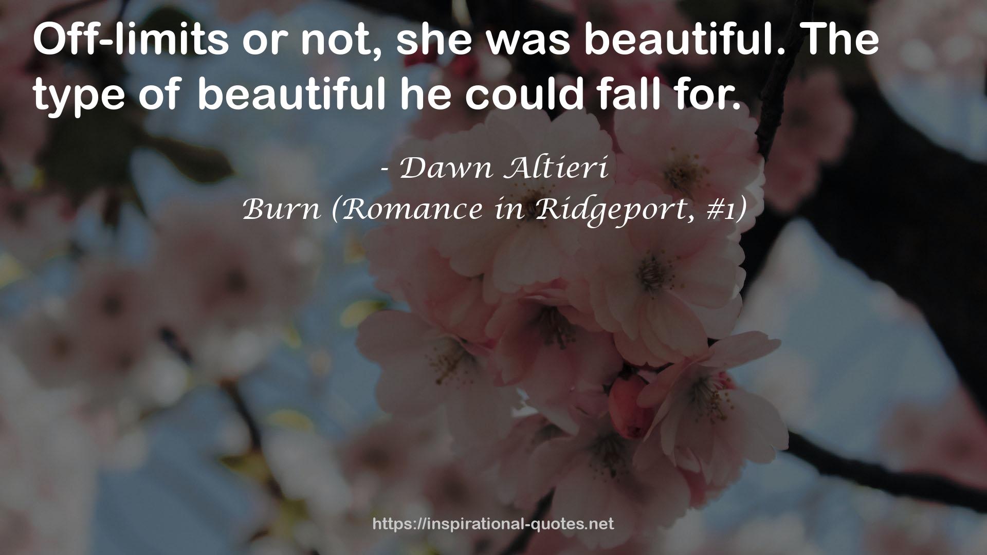 Burn (Romance in Ridgeport, #1) QUOTES