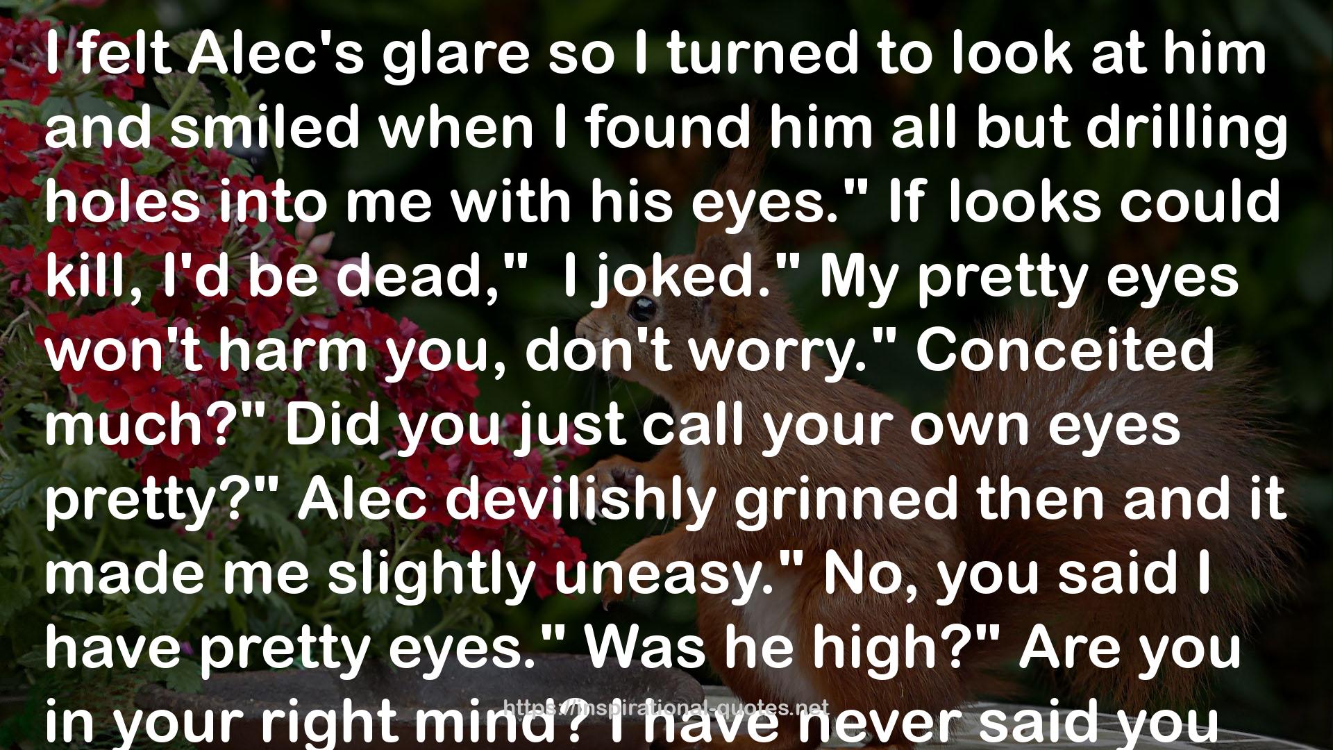 Alec's glare  QUOTES