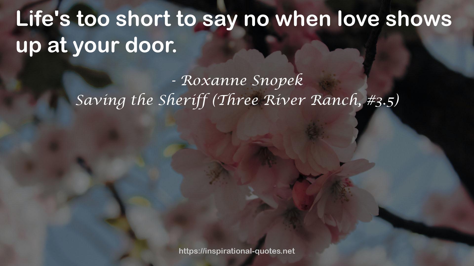 Saving the Sheriff (Three River Ranch, #3.5) QUOTES