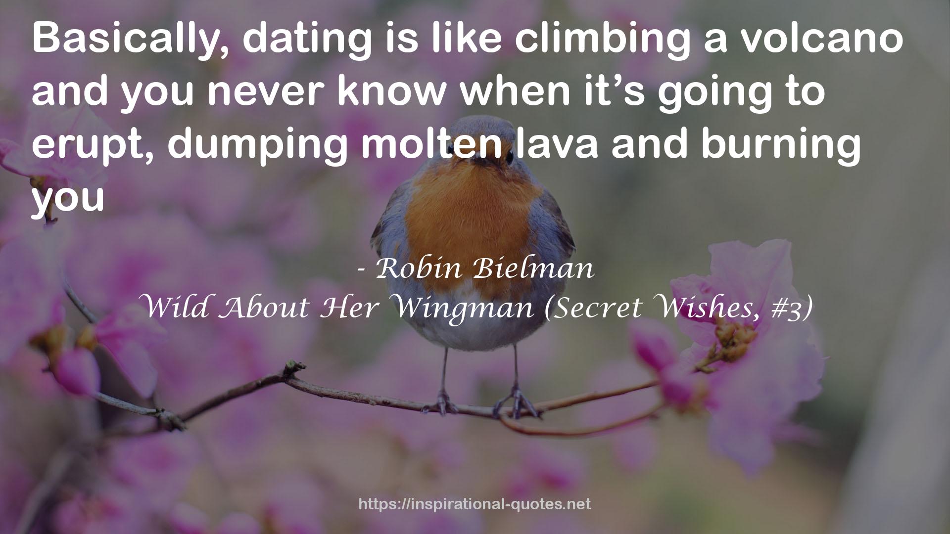 Wild About Her Wingman (Secret Wishes, #3) QUOTES
