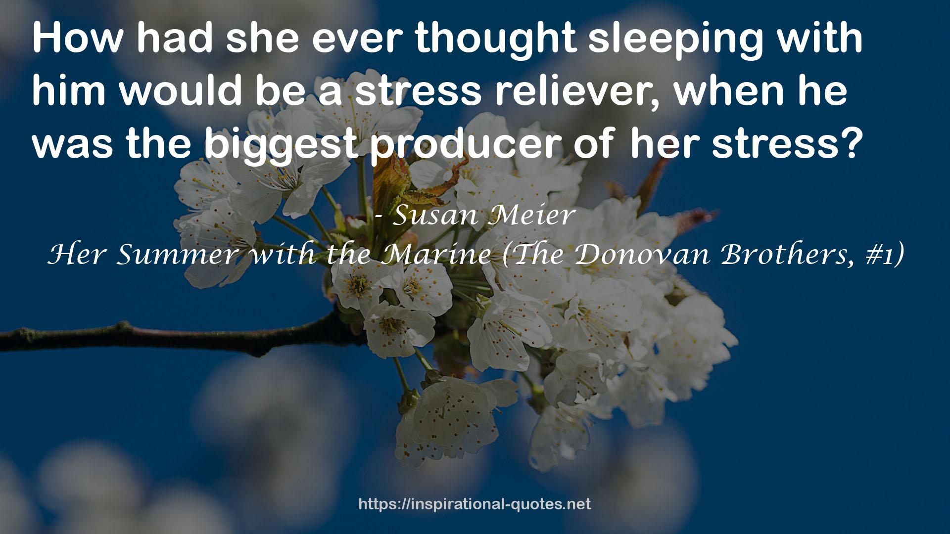 Her Summer with the Marine (The Donovan Brothers, #1) QUOTES