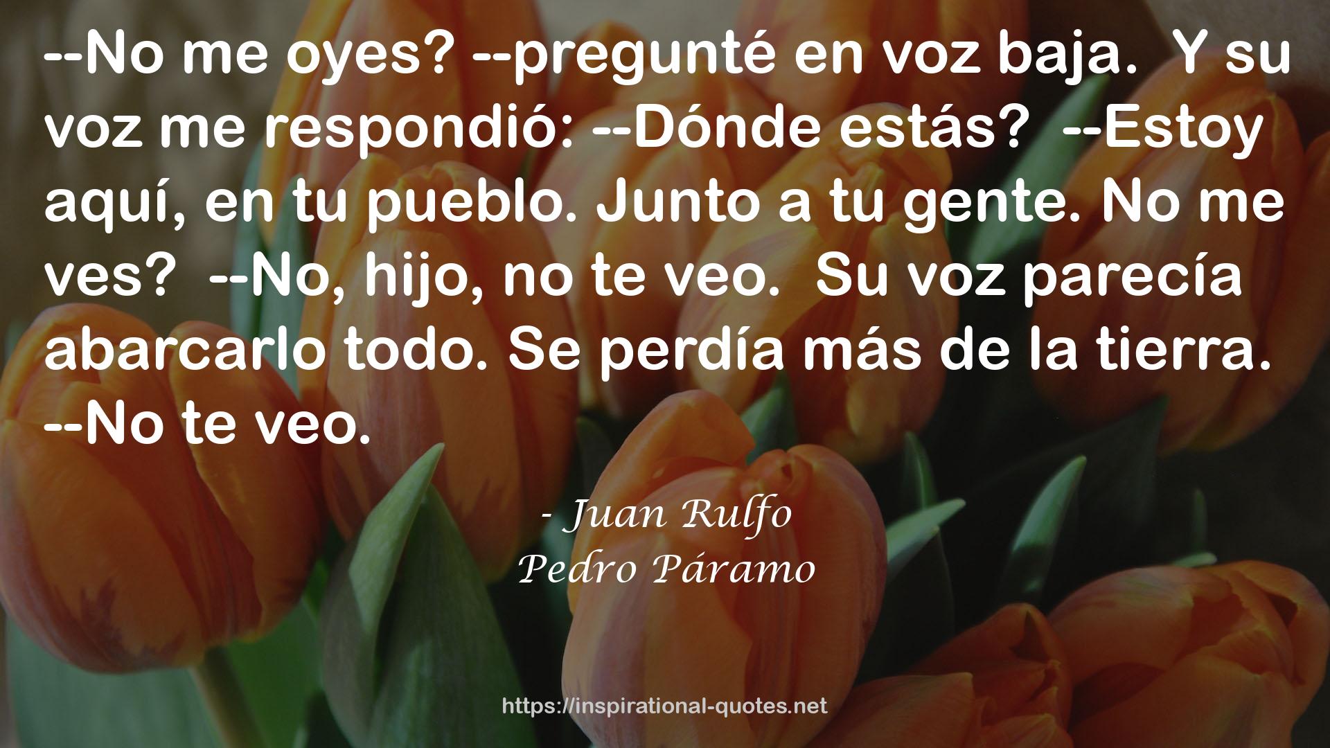 Pedro Páramo QUOTES