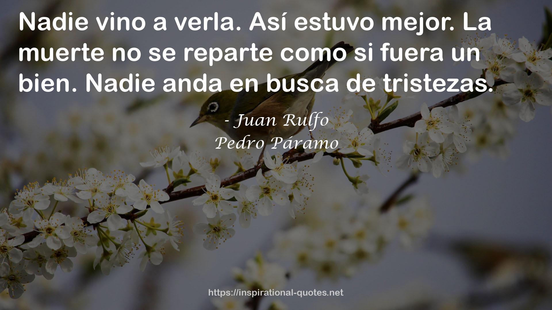 Pedro Páramo QUOTES