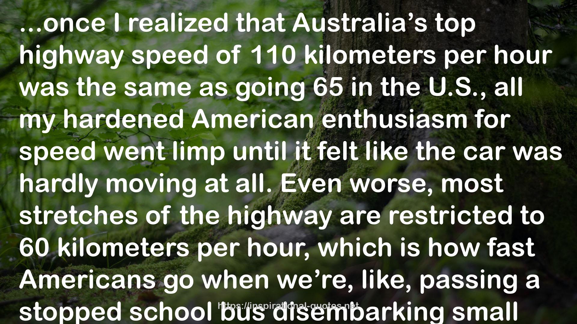 110 kilometers per hour  QUOTES