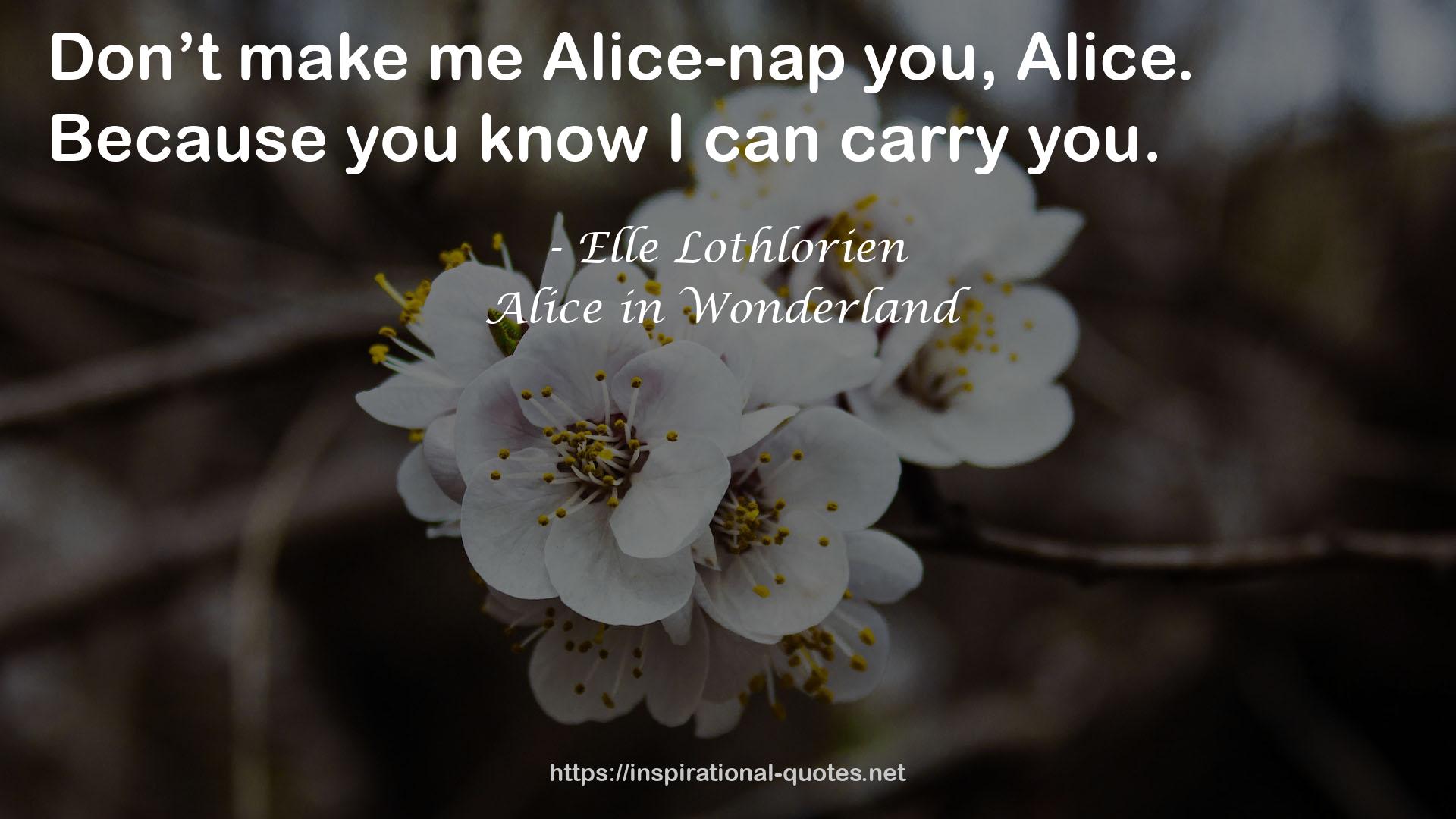 Alice-nap  QUOTES