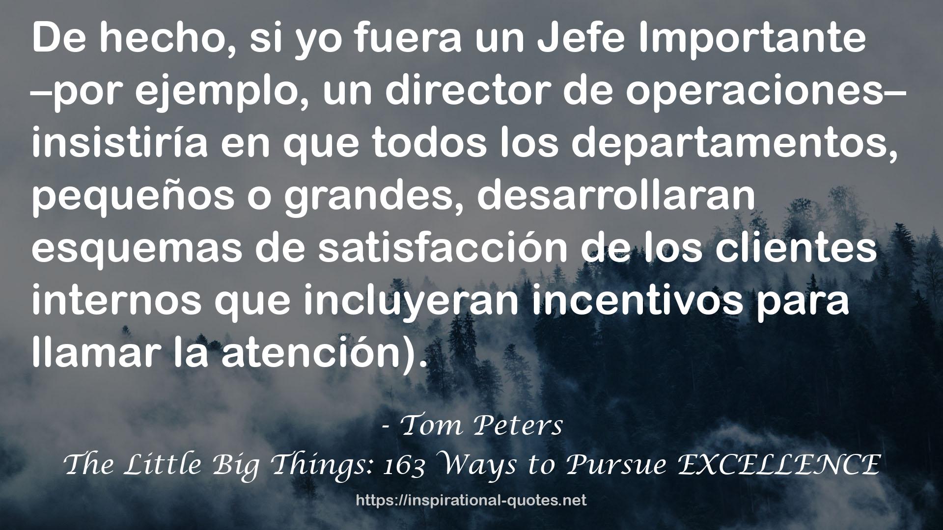 The Little Big Things: 163 Ways to Pursue EXCELLENCE QUOTES