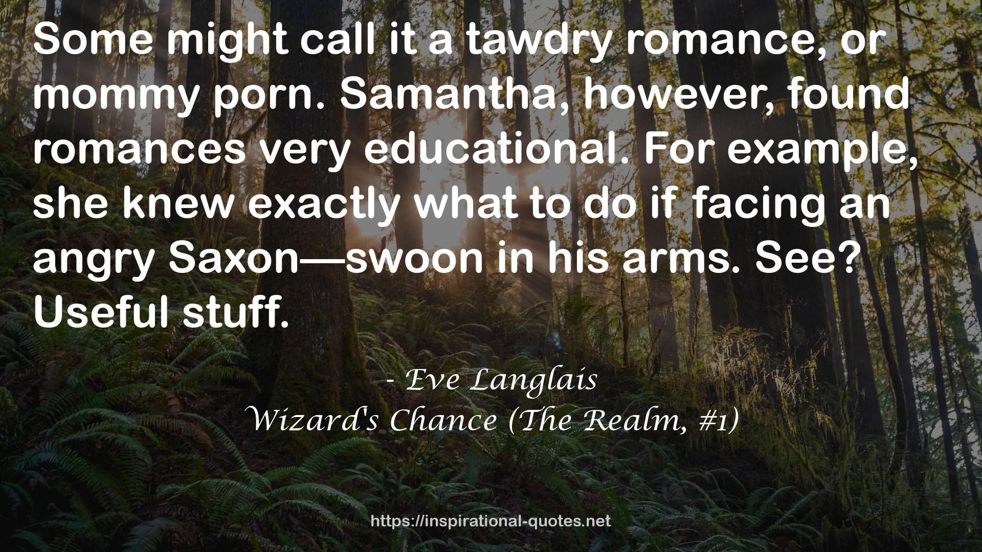 Wizard's Chance (The Realm, #1) QUOTES