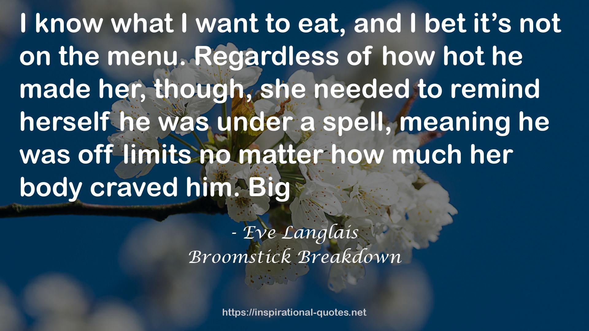 Broomstick Breakdown QUOTES