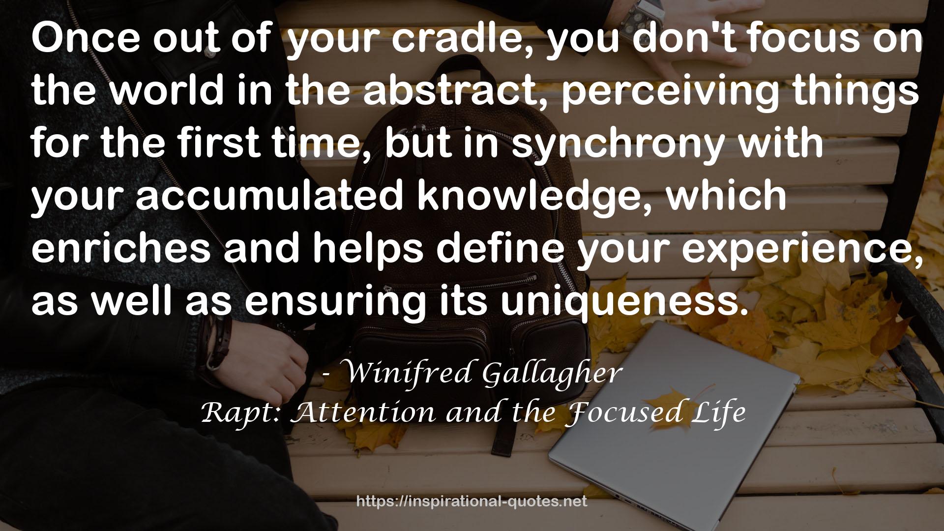 Rapt: Attention and the Focused Life QUOTES