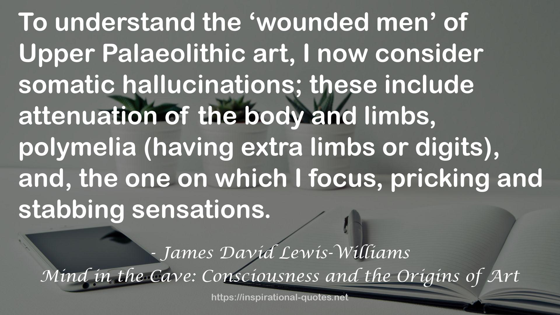 James David Lewis-Williams QUOTES