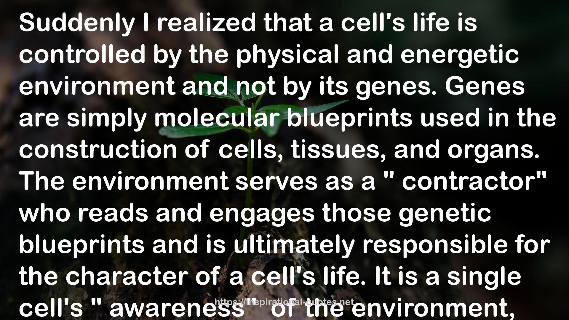 a cell's life  QUOTES