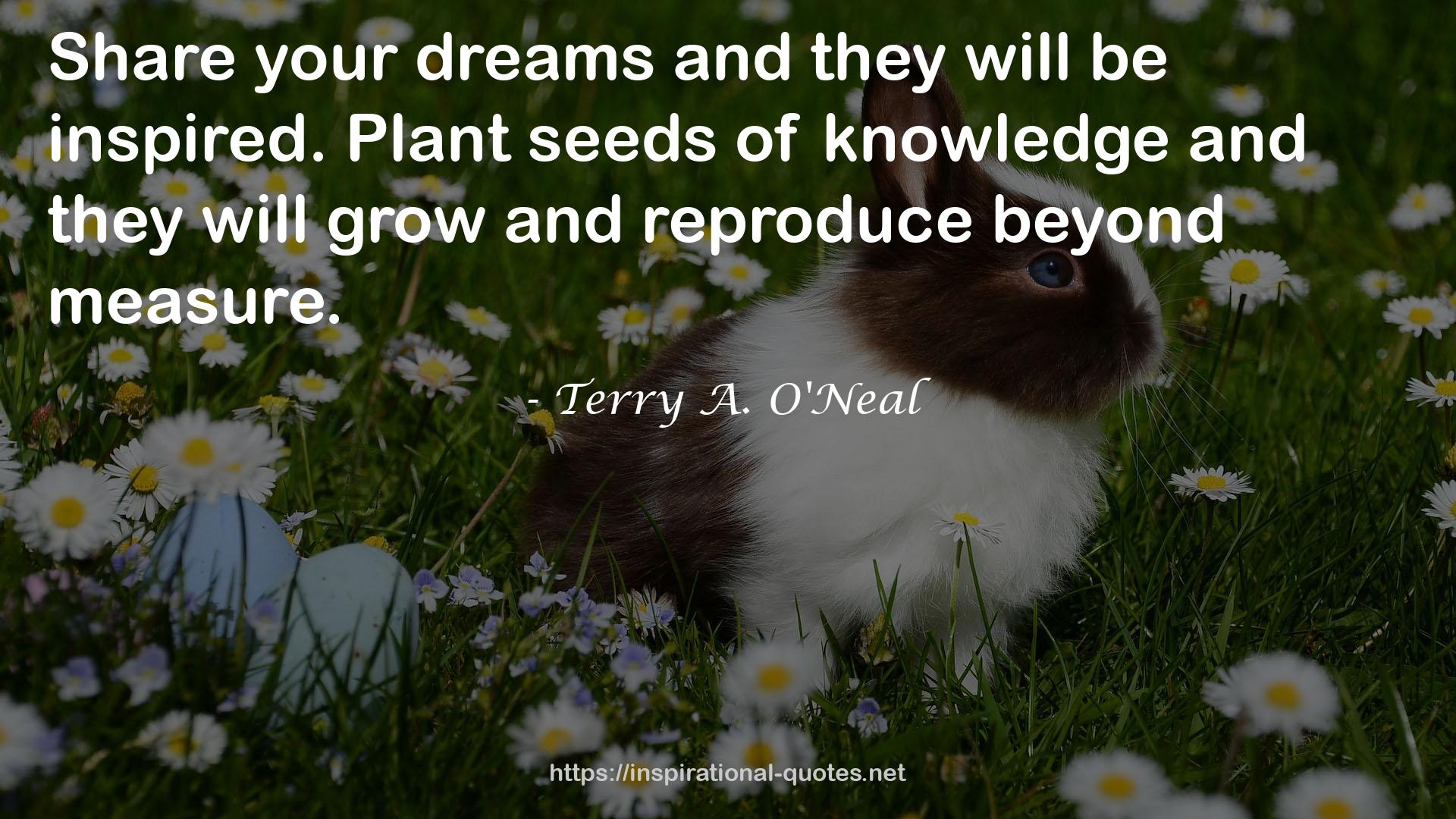 Terry A. O'Neal QUOTES