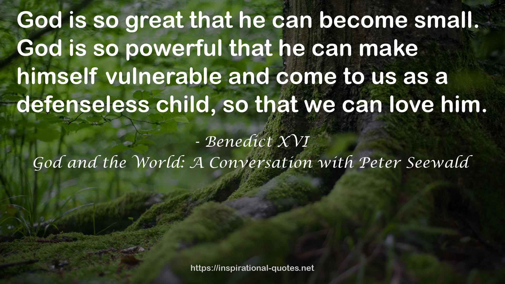 God and the World: A Conversation with Peter Seewald QUOTES