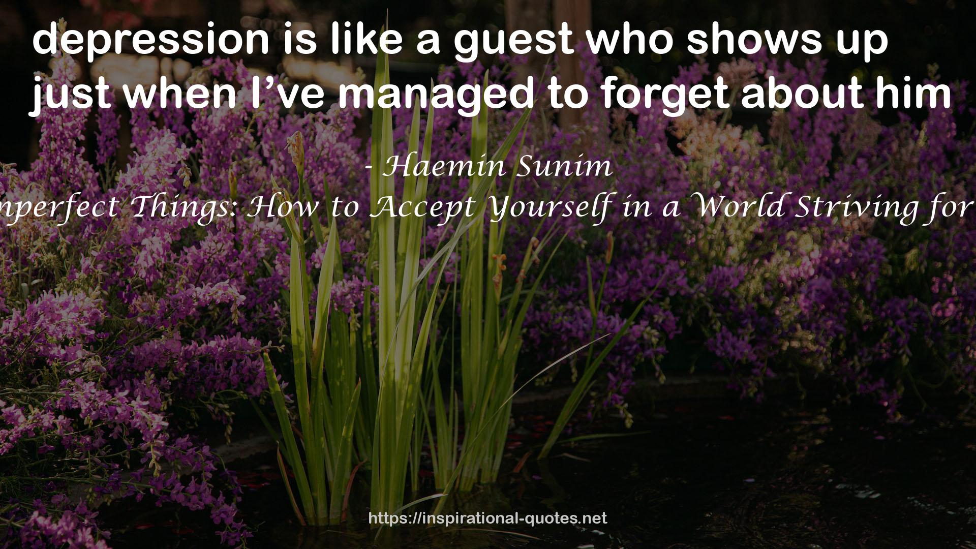 Love for Imperfect Things: How to Accept Yourself in a World Striving for Perfection QUOTES