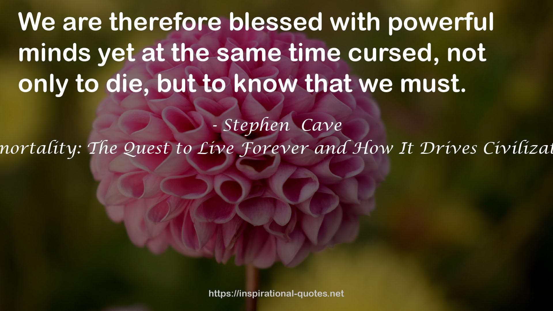 Stephen  Cave QUOTES