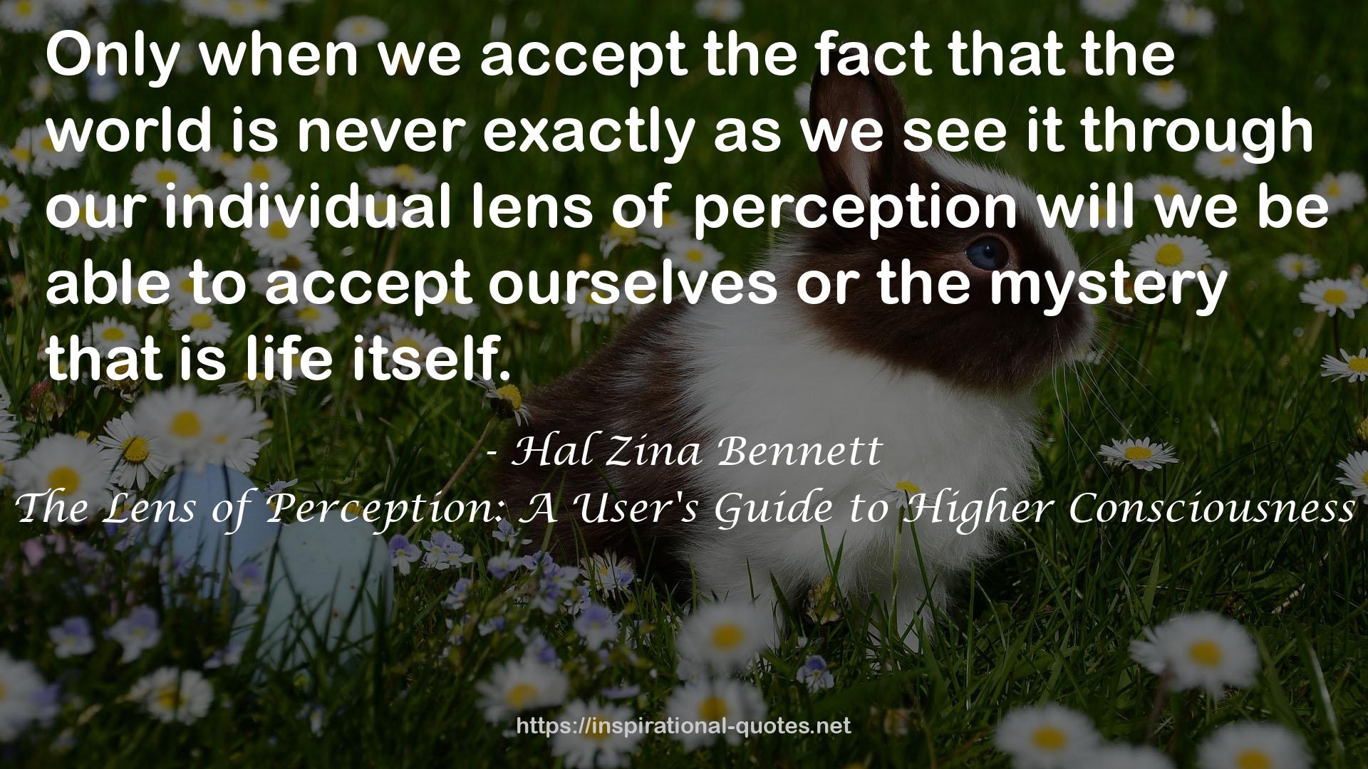 The Lens of Perception: A User's Guide to Higher Consciousness QUOTES