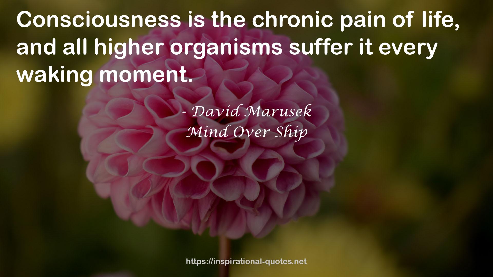 the chronic pain  QUOTES