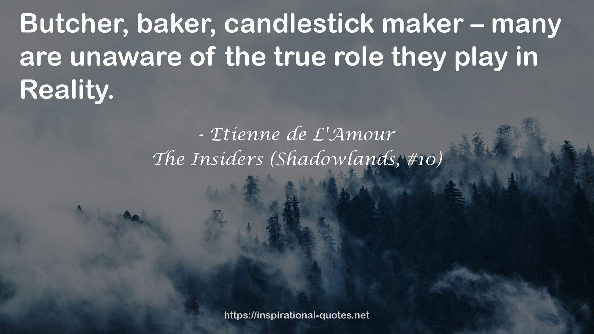 The Insiders (Shadowlands, #10) QUOTES