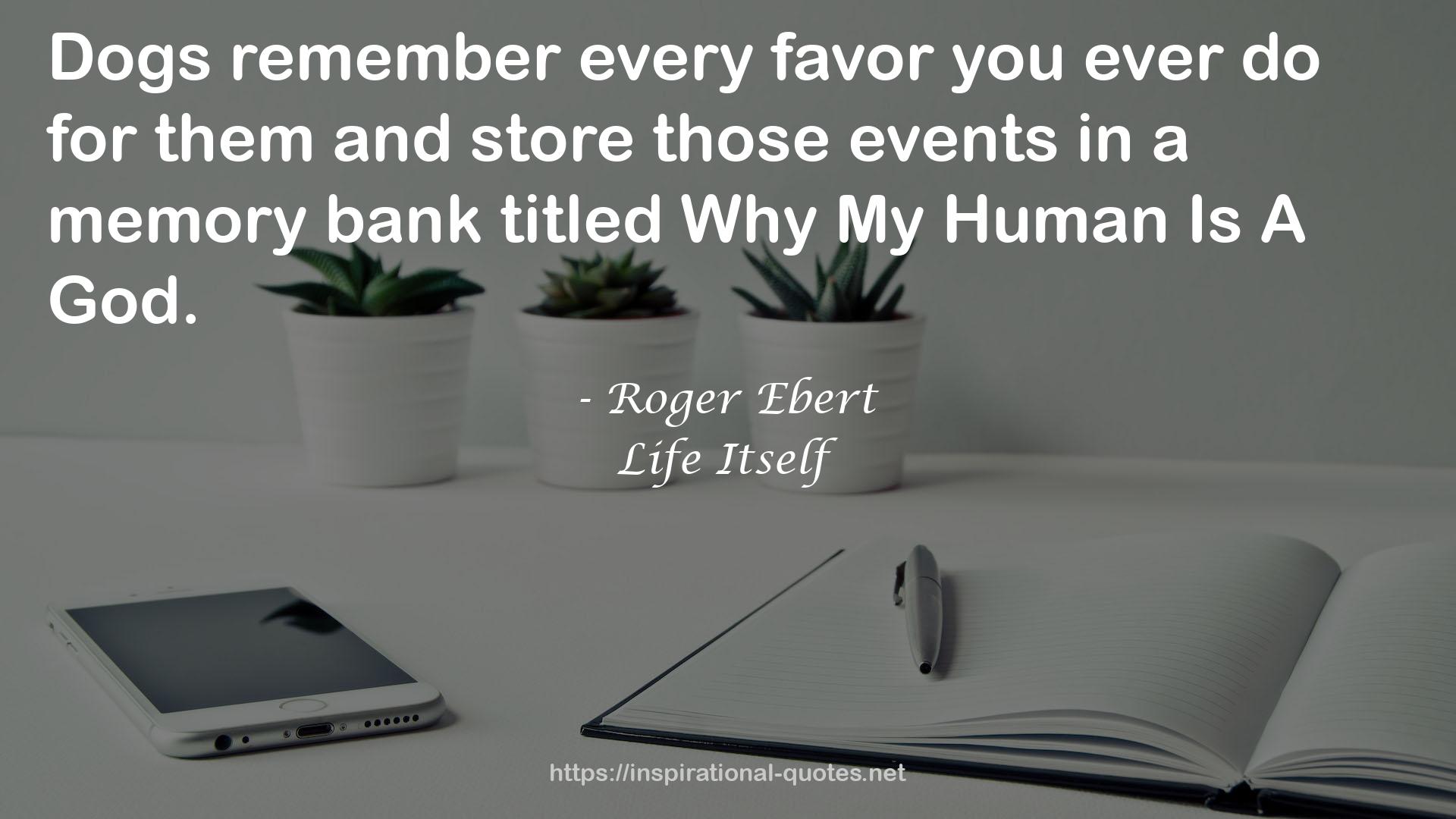 Roger Ebert QUOTES