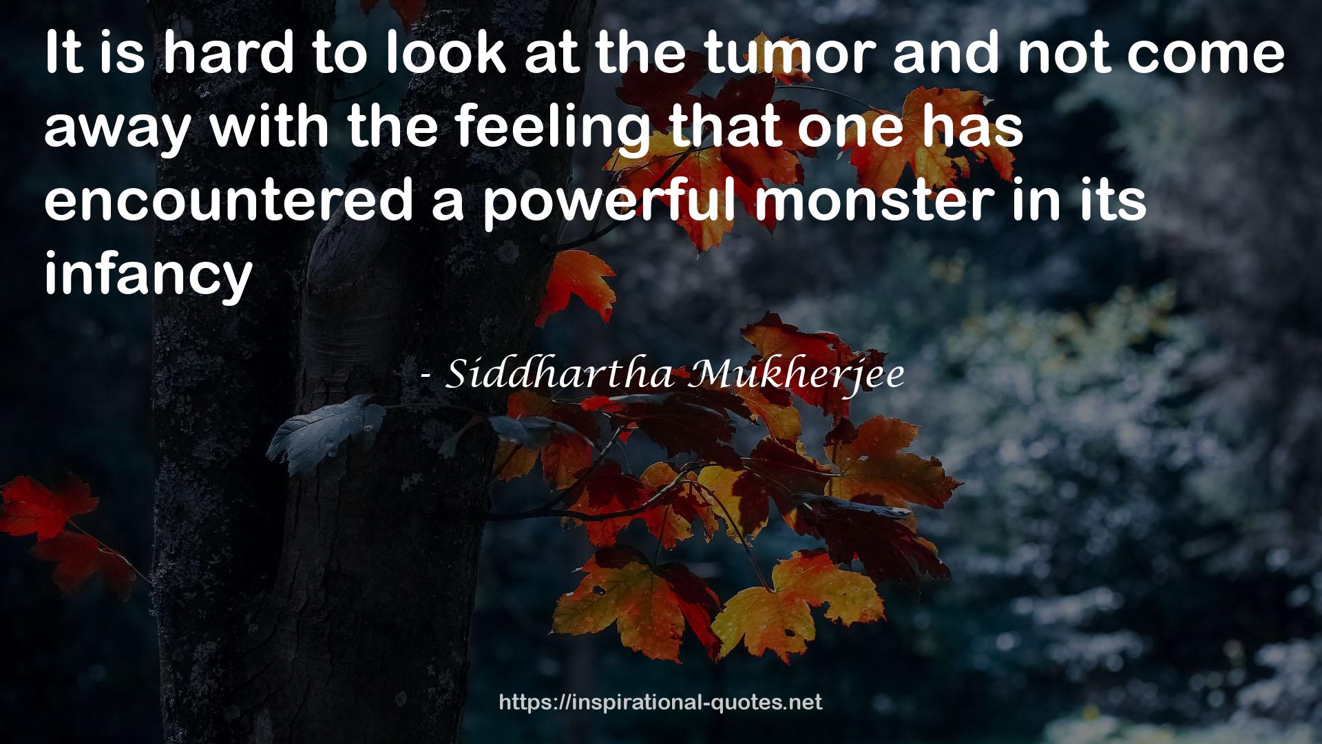 a powerful monster  QUOTES
