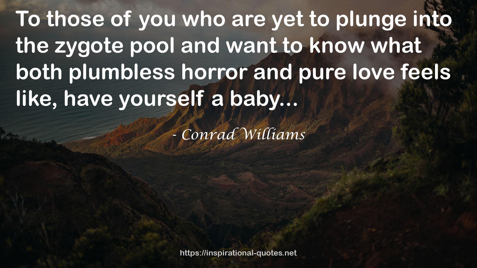 Conrad Williams QUOTES