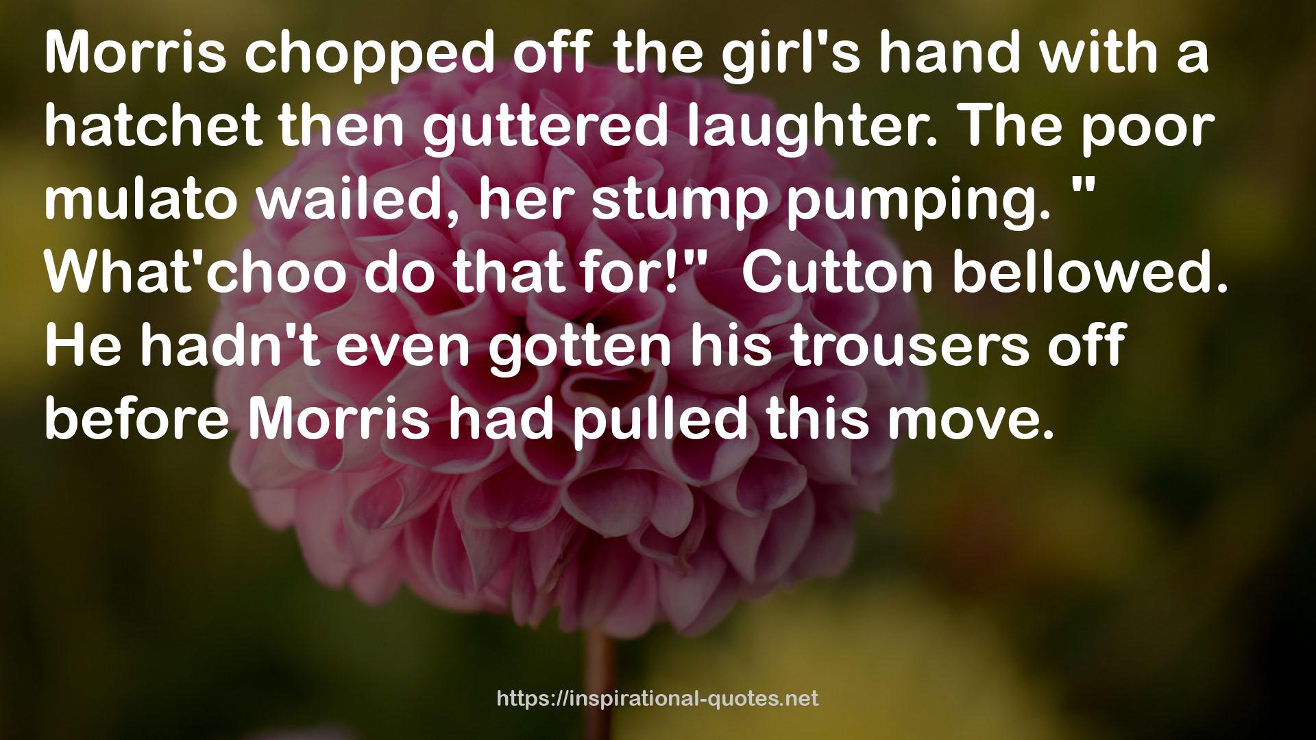 the girl's hand  QUOTES