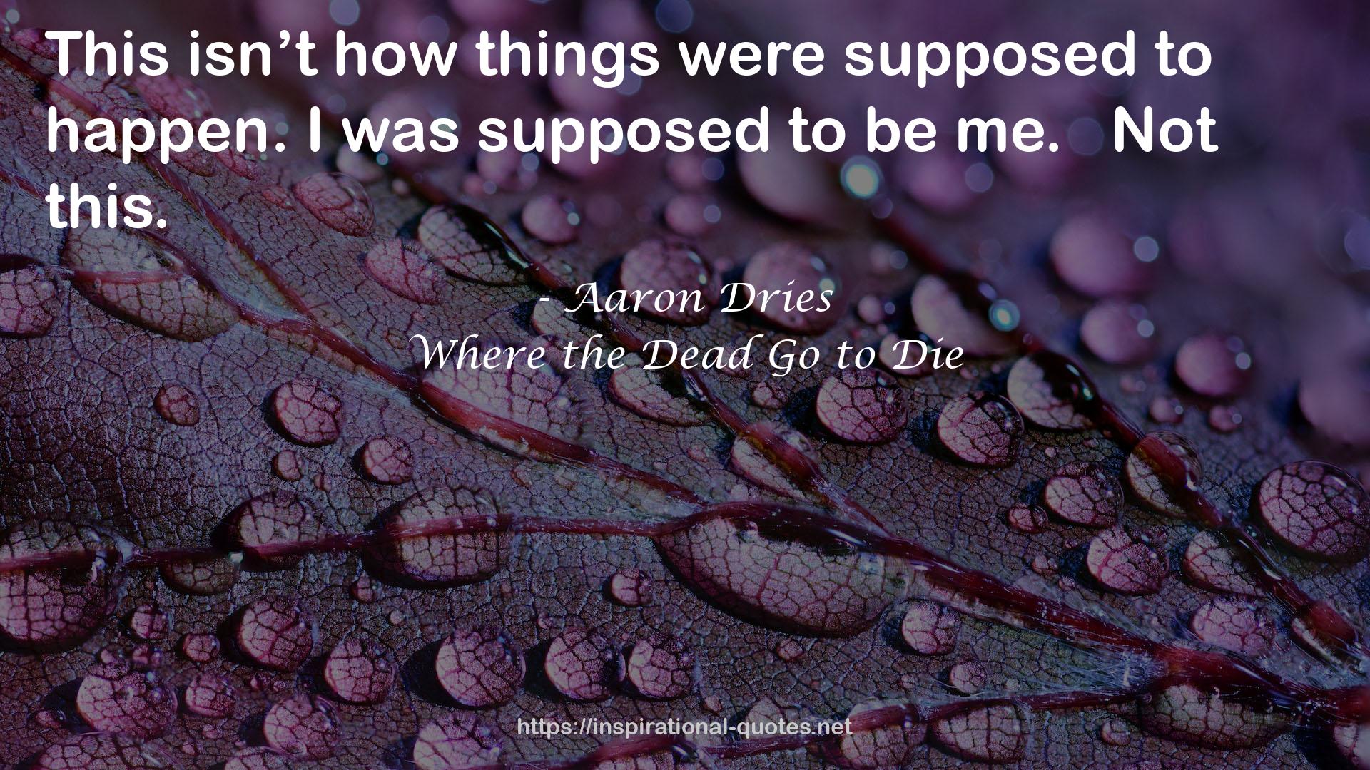 Aaron Dries QUOTES