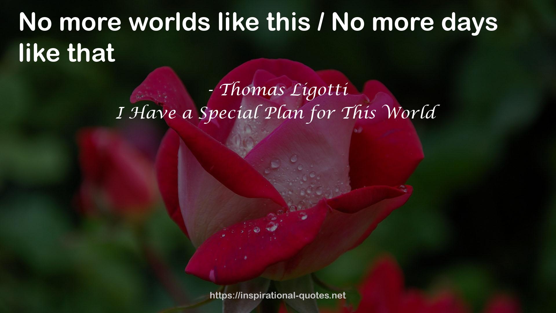 I Have a Special Plan for This World QUOTES