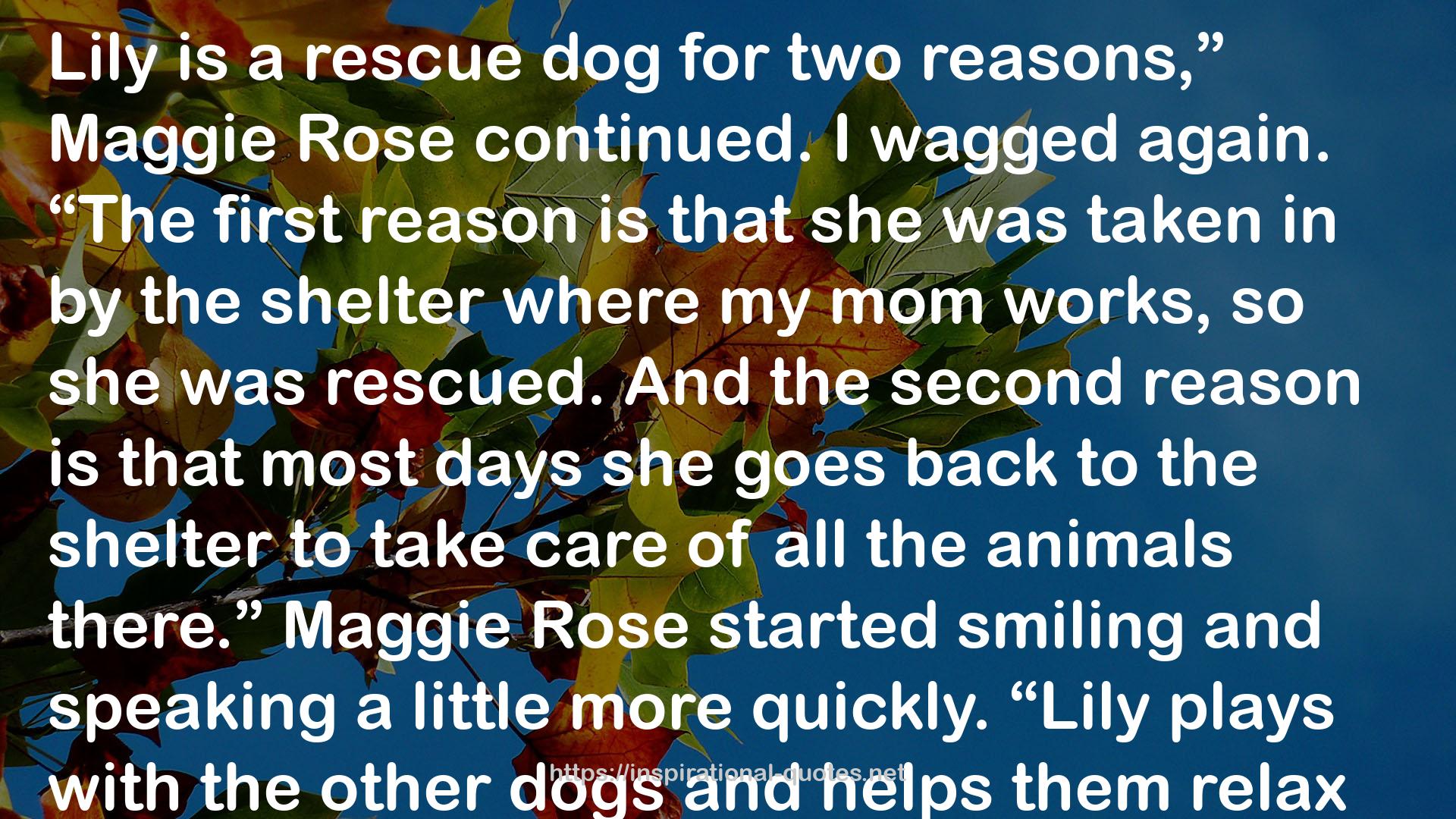 Lily to the Rescue (Lily to the Rescue! #1) QUOTES
