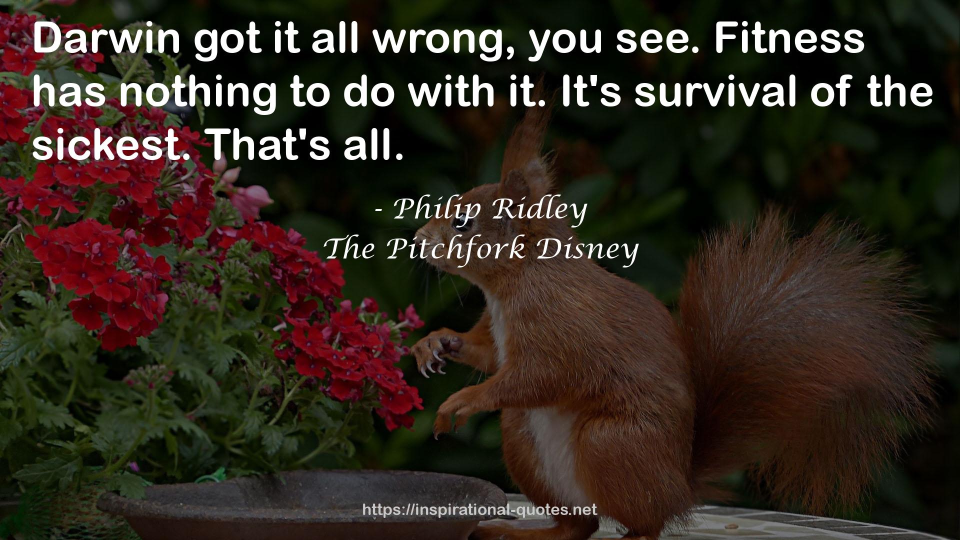 The Pitchfork Disney QUOTES