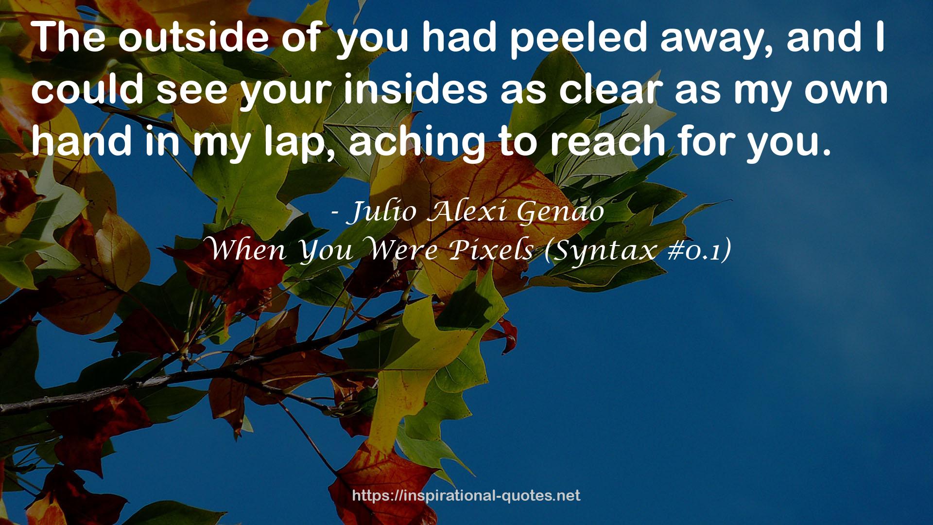 When You Were Pixels (Syntax #0.1) QUOTES