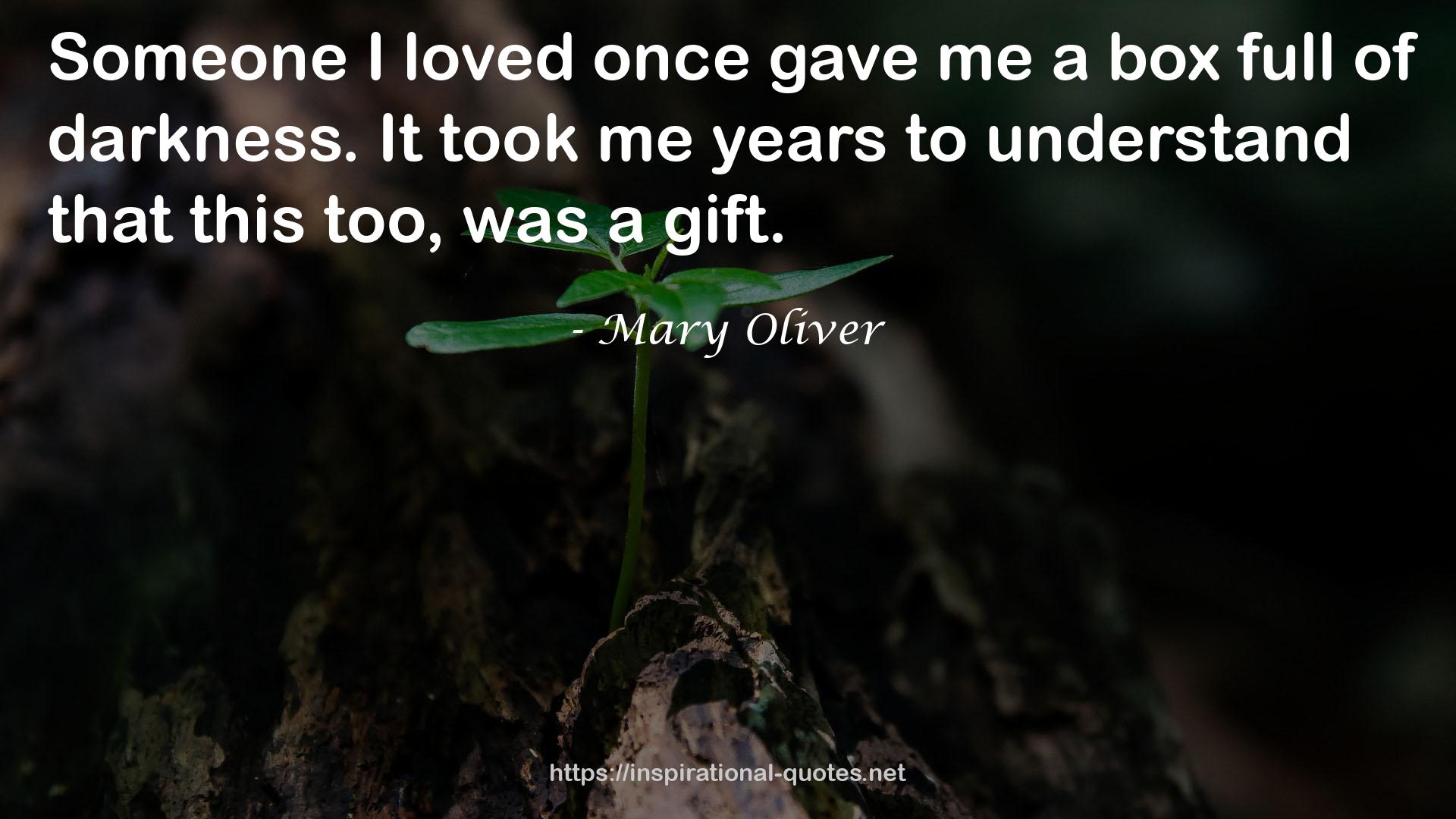 Mary Oliver QUOTES