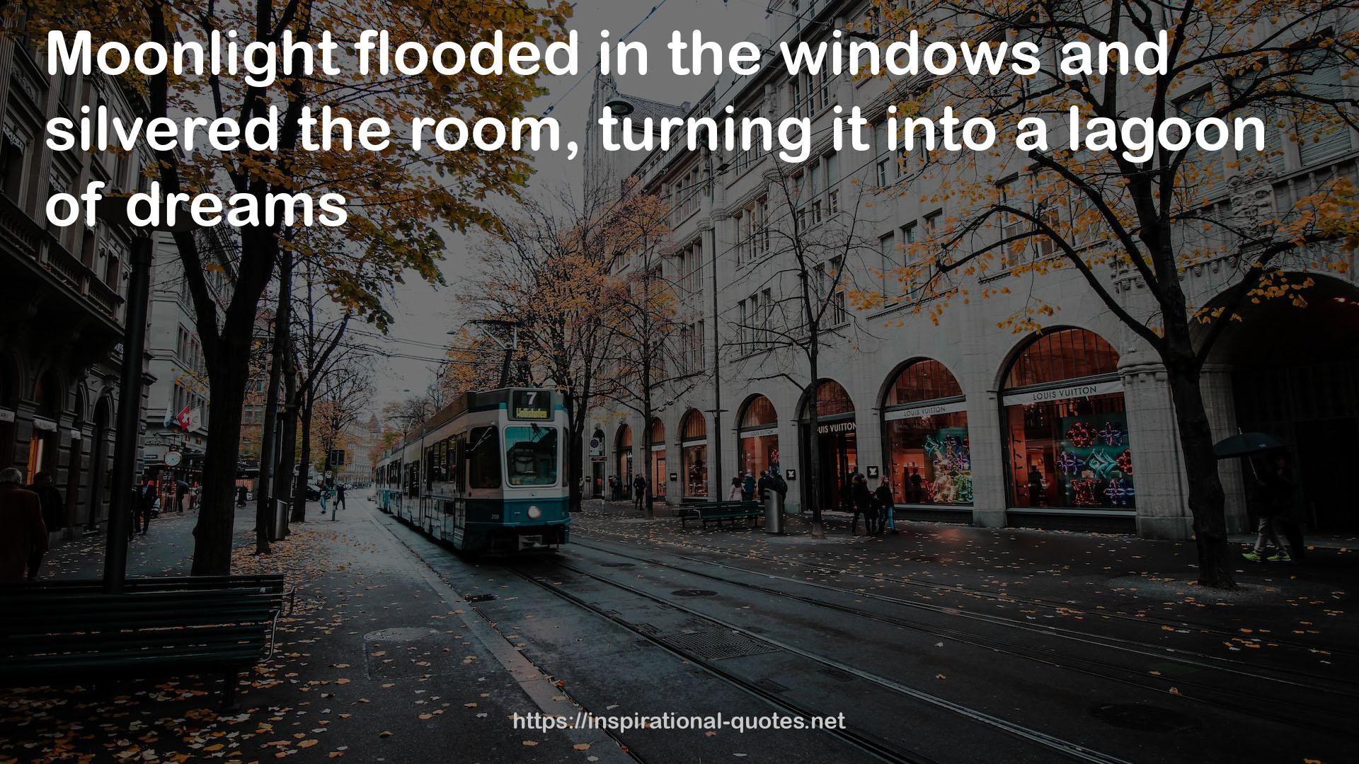 the windows  QUOTES