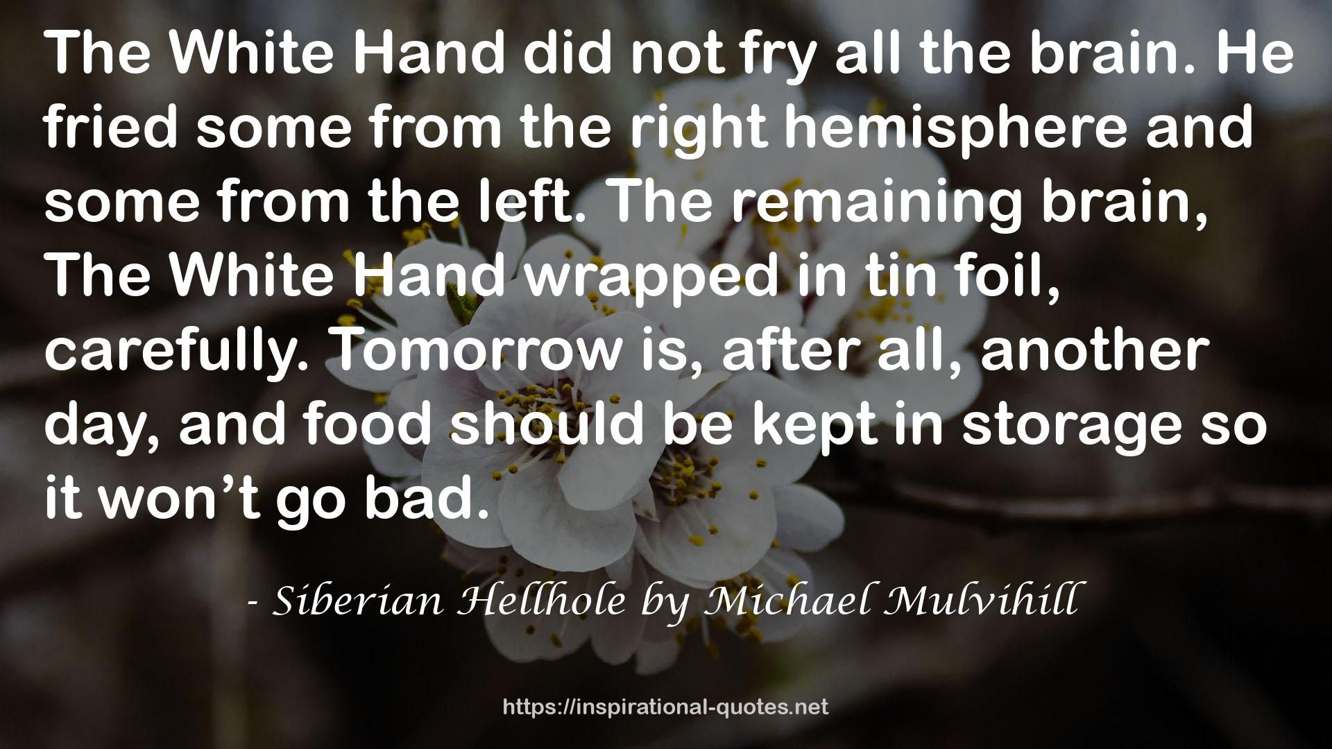 Siberian Hellhole by Michael Mulvihill QUOTES
