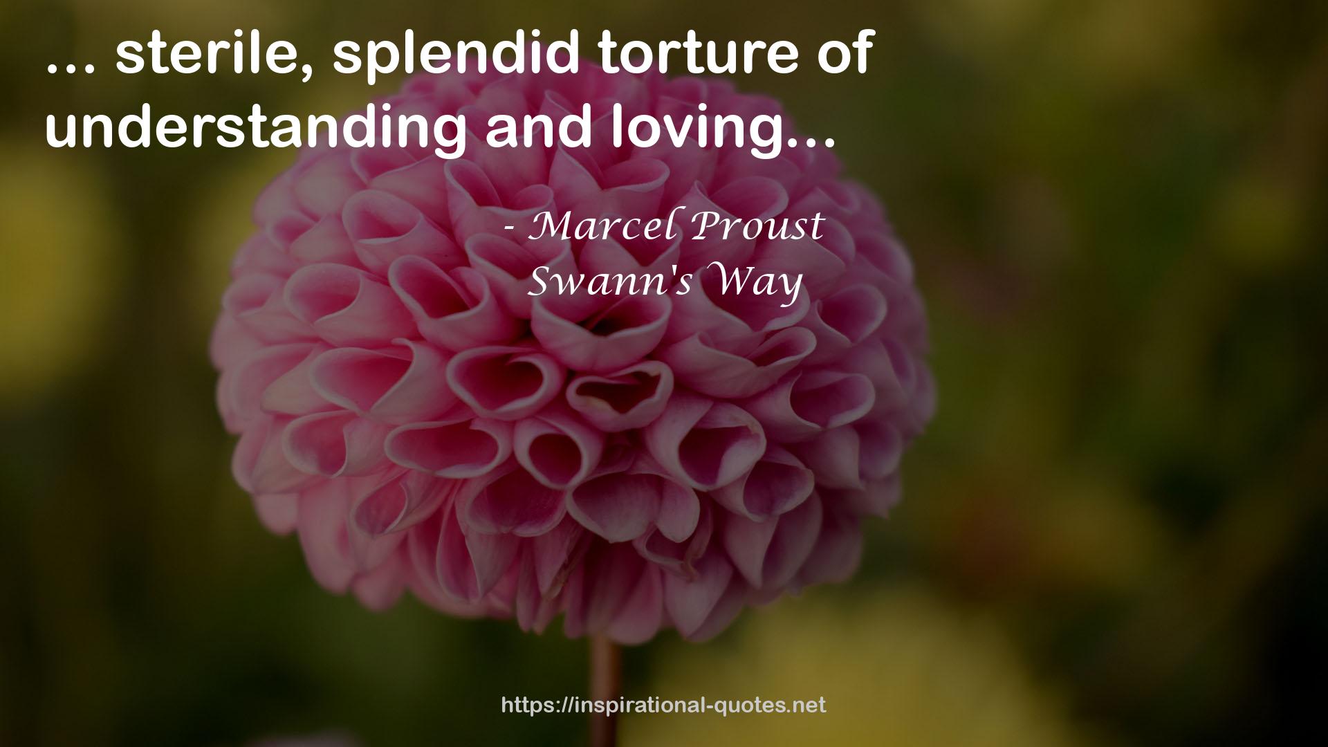 splendid torture  QUOTES