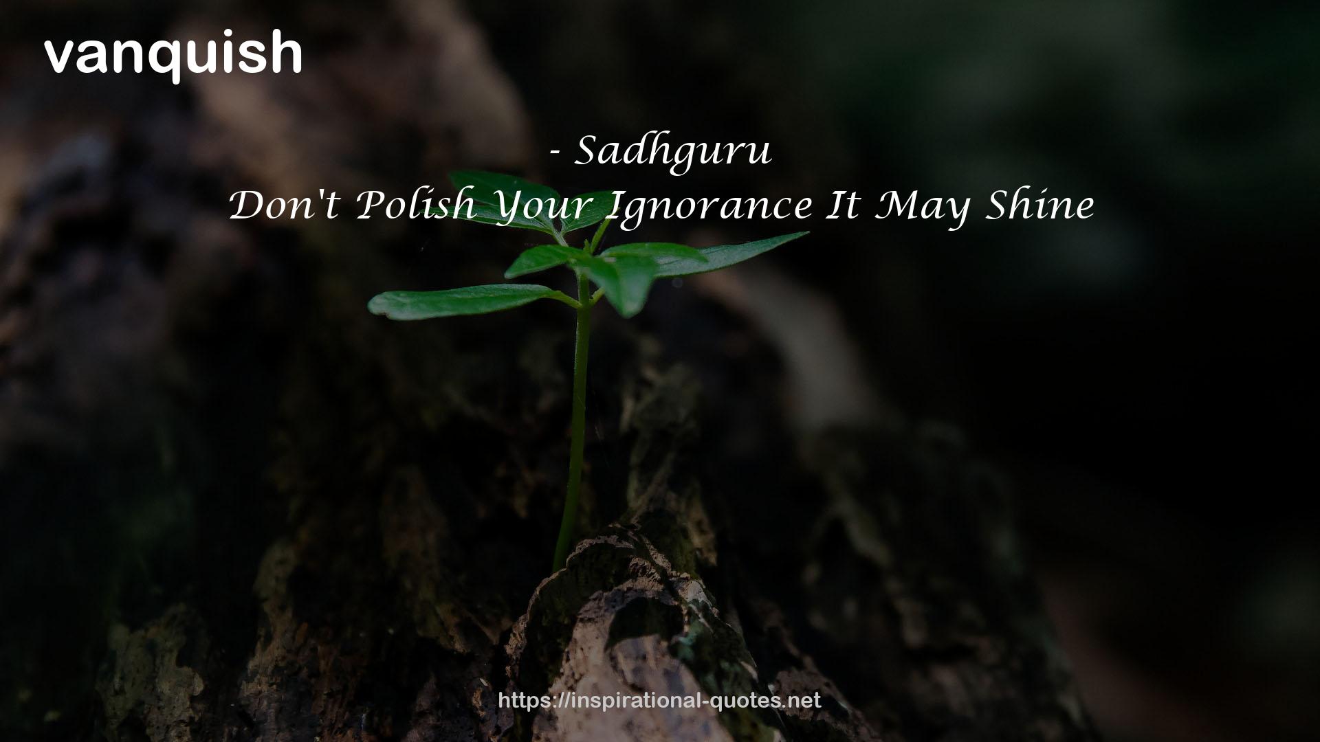 Don't Polish Your Ignorance It May Shine QUOTES