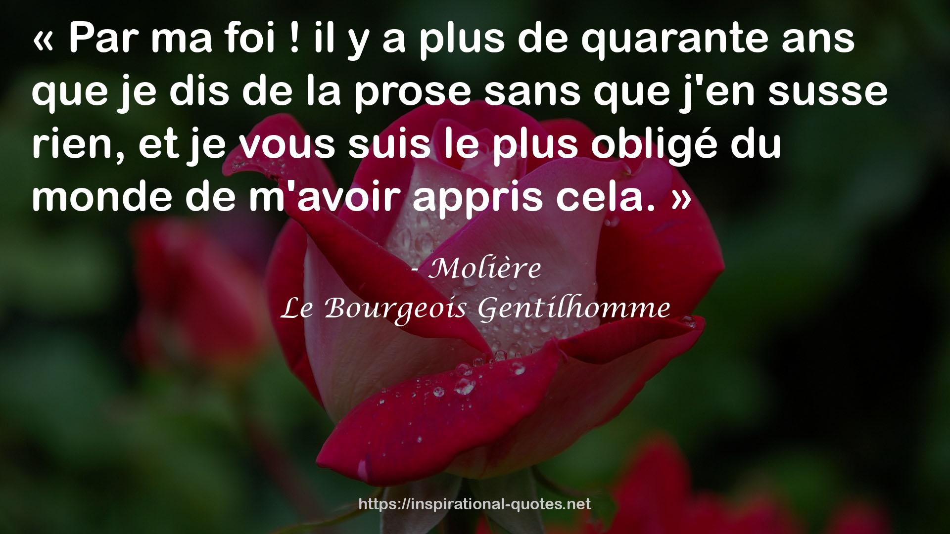 Le Bourgeois Gentilhomme QUOTES