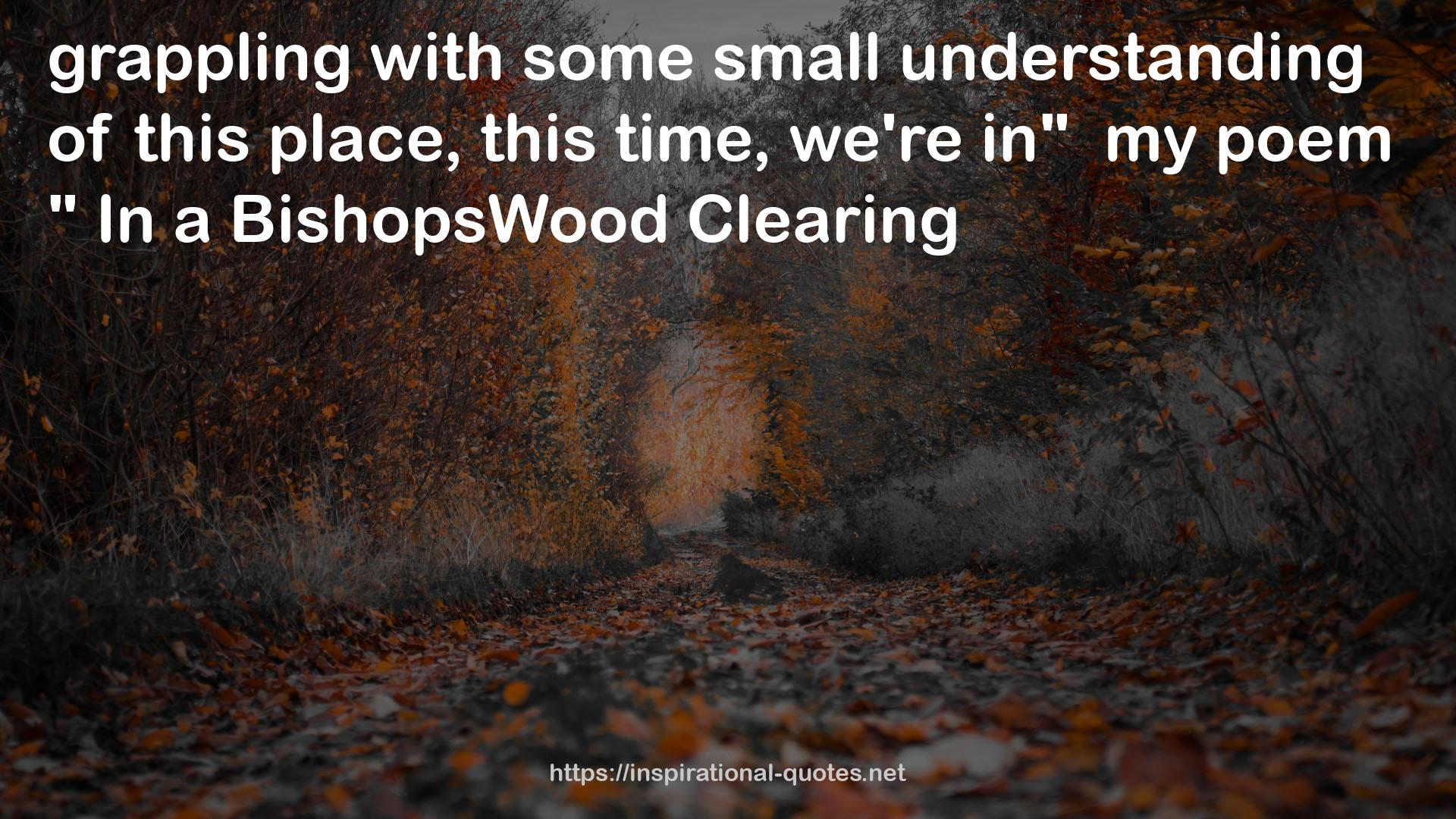 BishopsWood  QUOTES