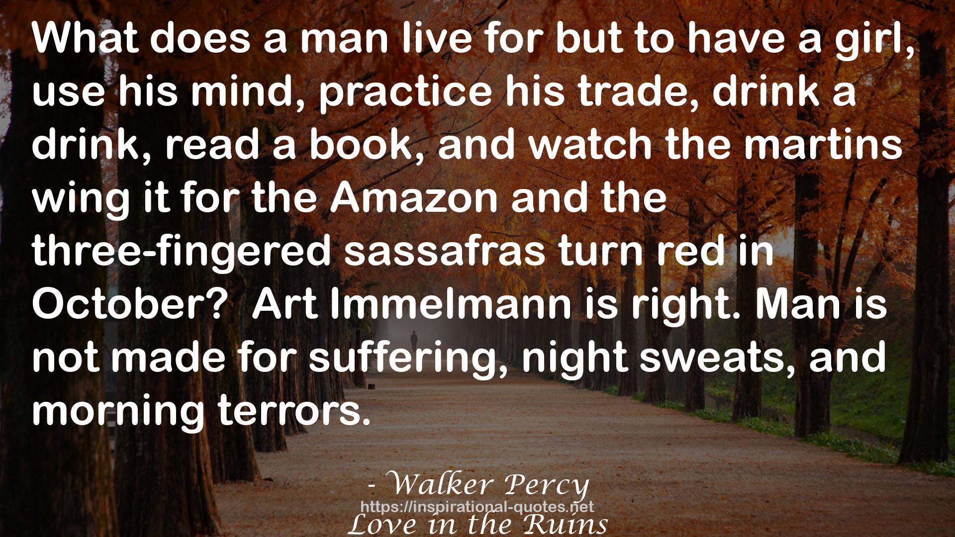 Walker Percy QUOTES