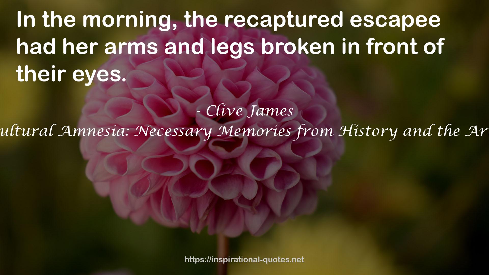 Cultural Amnesia: Necessary Memories from History and the Arts QUOTES