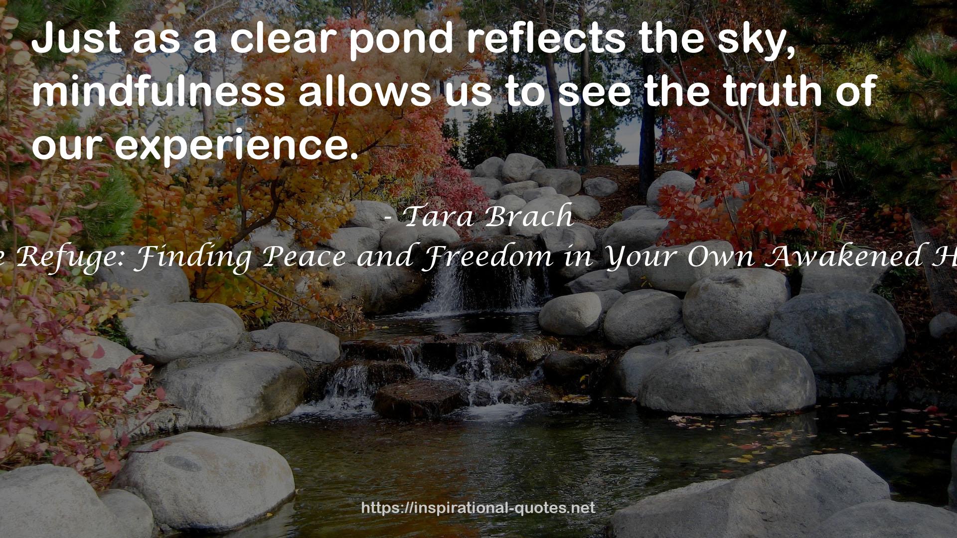 True Refuge: Finding Peace and Freedom in Your Own Awakened Heart QUOTES