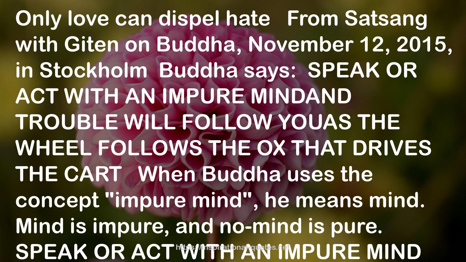 Silence is the Way: The Teachings of Buddha. Golden Nuggets of Love, Truth and Wisdom QUOTES