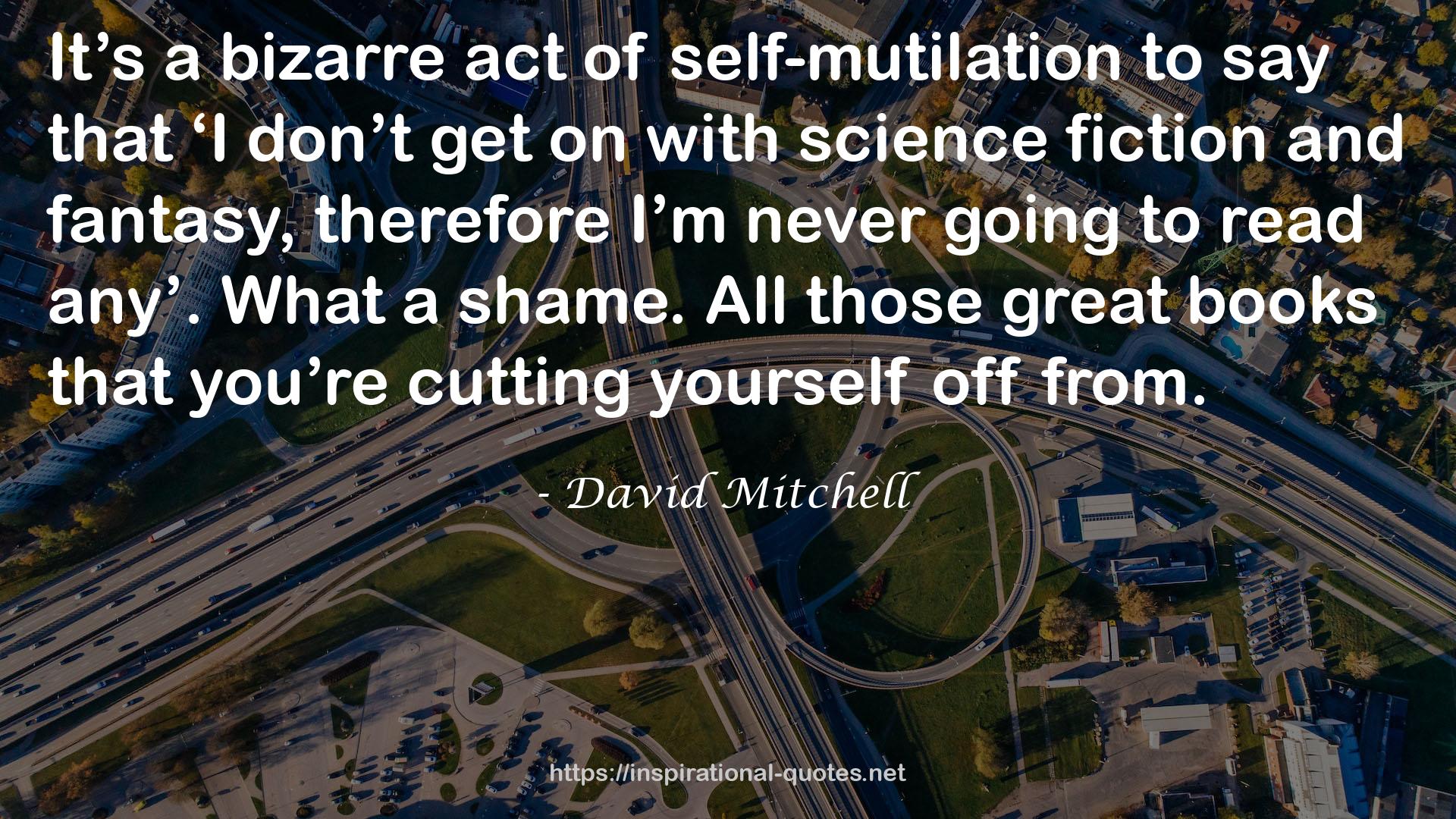 self-mutilation  QUOTES