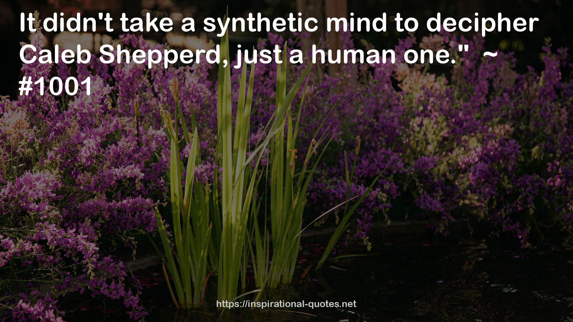 a synthetic mind  QUOTES