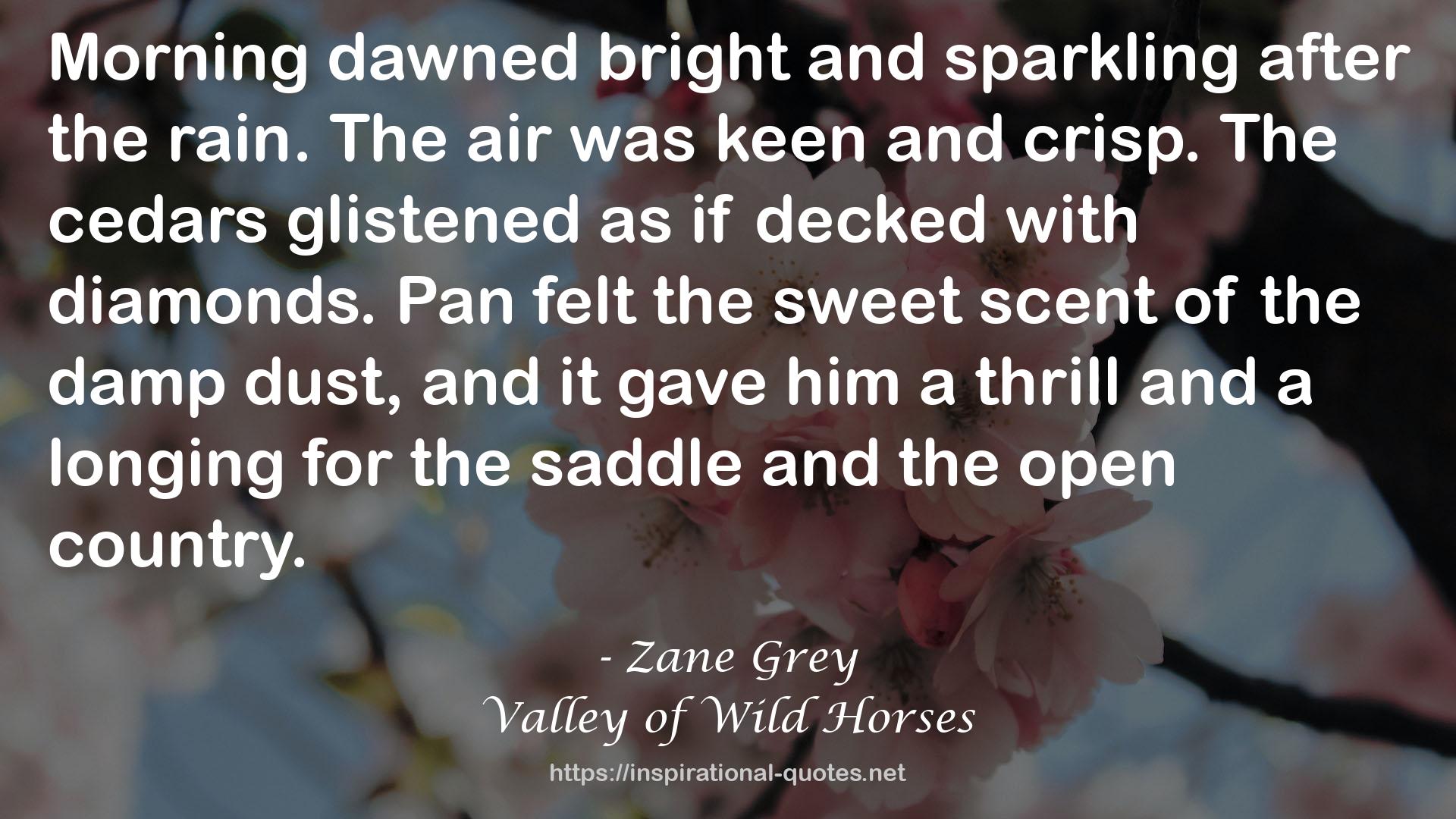 Zane Grey QUOTES