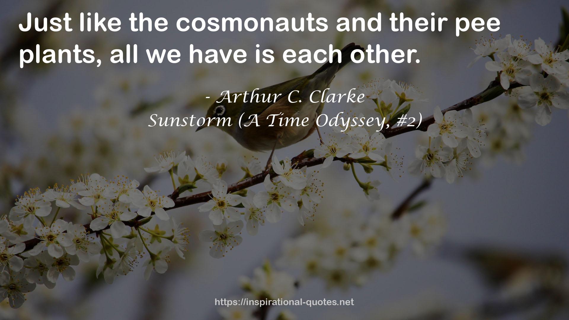 Sunstorm (A Time Odyssey, #2) QUOTES