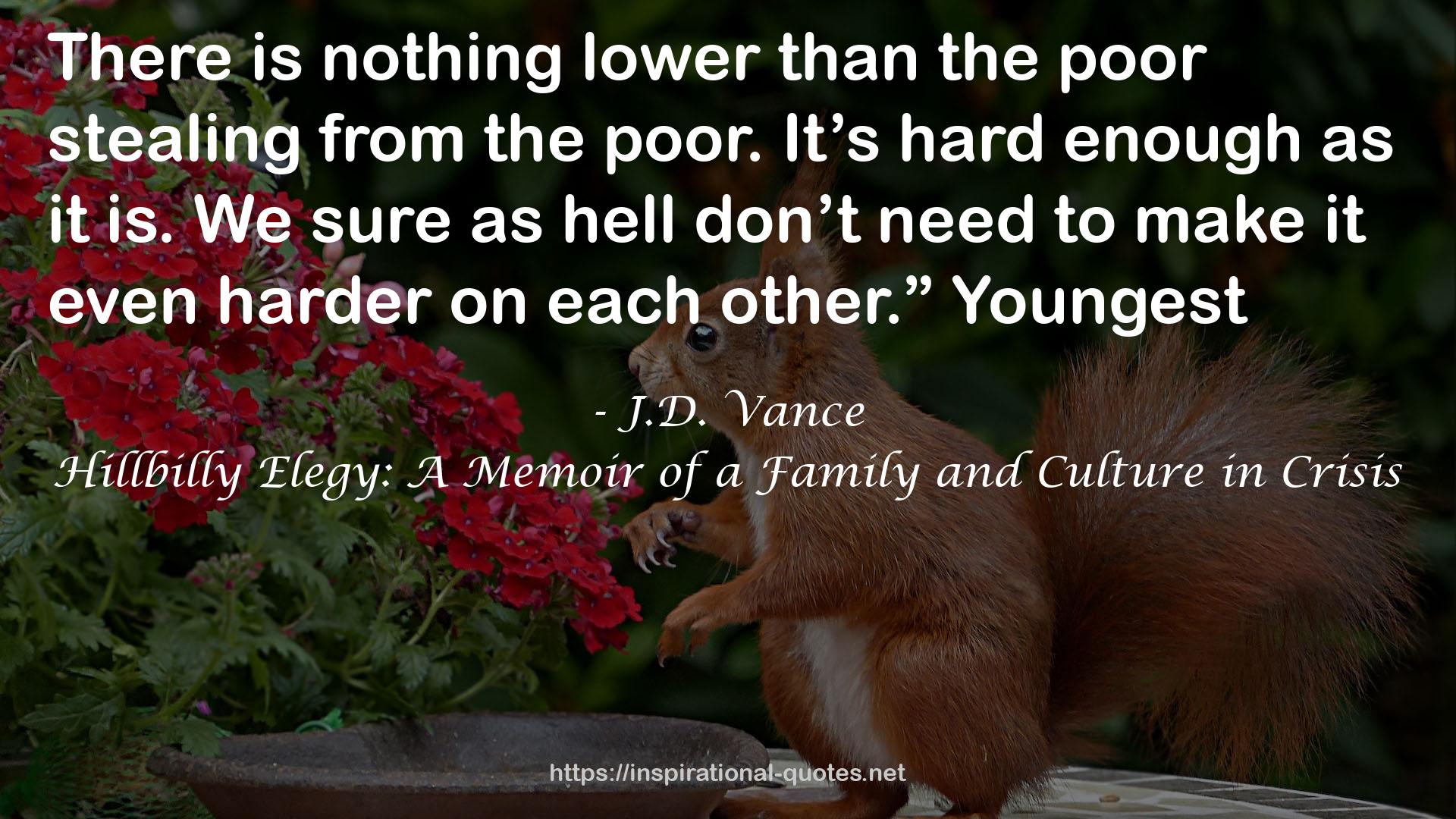 J.D. Vance QUOTES